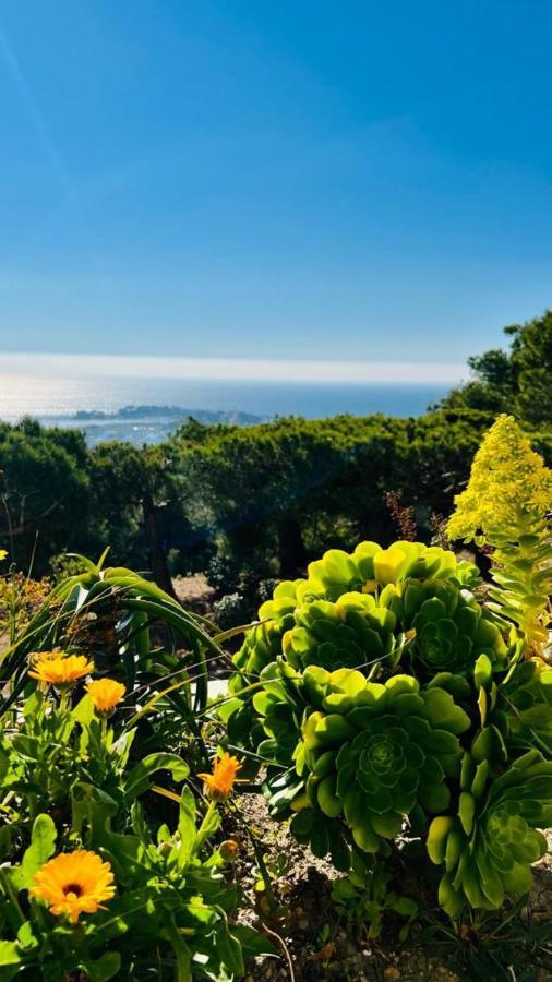 Vue Mer Panoramique Et Piscine Bandol Exterior photo